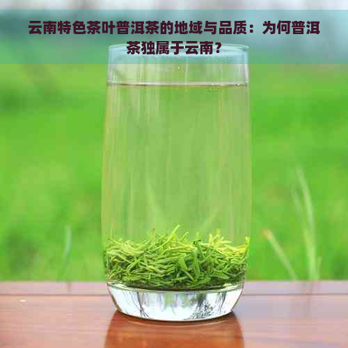 云南特色茶叶普洱茶的地域与品质：为何普洱茶独属于云南？