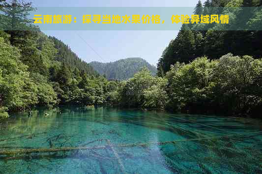 云南旅游：探寻当地水果价格，体验异域风情