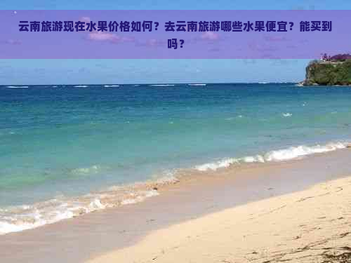 云南旅游现在水果价格如何？去云南旅游哪些水果便宜？能买到吗？