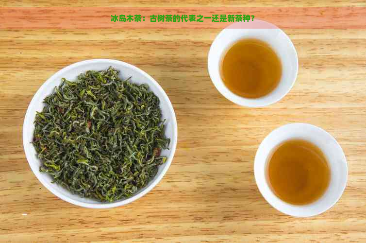 冰岛木茶：古树茶的代表之一还是新茶种？