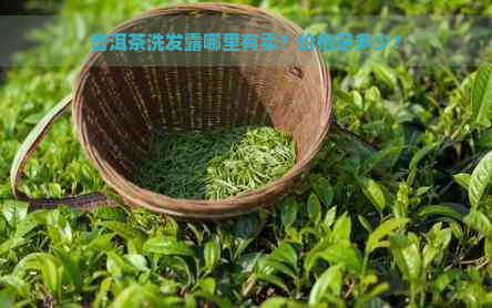 普洱茶洗发露哪里有卖？价格是多少？