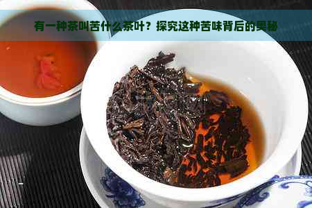 有一种茶叫苦什么茶叶？探究这种苦味背后的奥秘