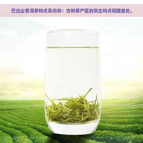 巴达山普洱茶特点及功效：古树茶产区的突出特点和健益处。