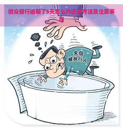 微众银行逾期了5天怎么办还款方法及注意事项