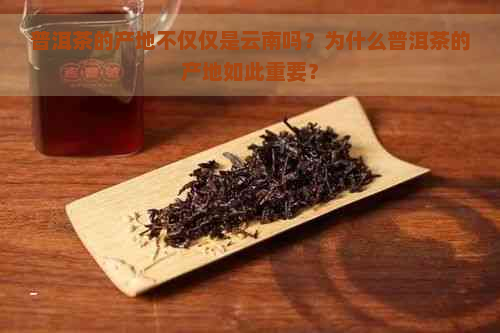 普洱茶的产地不仅仅是云南吗？为什么普洱茶的产地如此重要？