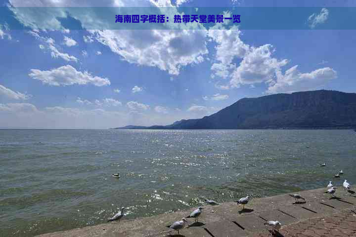 海南四字概括：热带天堂美景一览