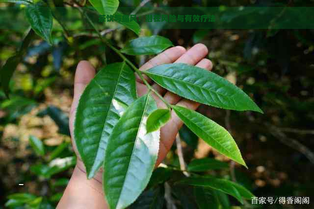 茶饮与痛风：潜在风险与有效疗法