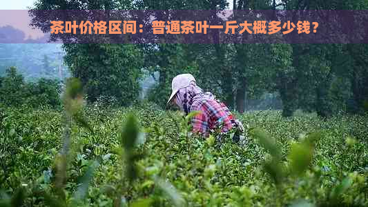 茶叶价格区间：普通茶叶一斤大概多少钱？