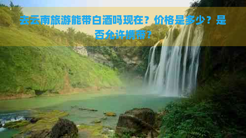 去云南旅游能带白酒吗现在？价格是多少？是否允许携带？