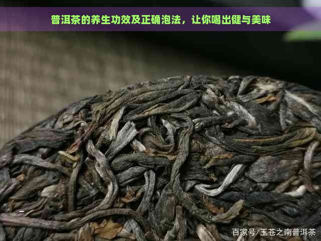 普洱茶的养生功效及正确泡法，让你喝出健与美味