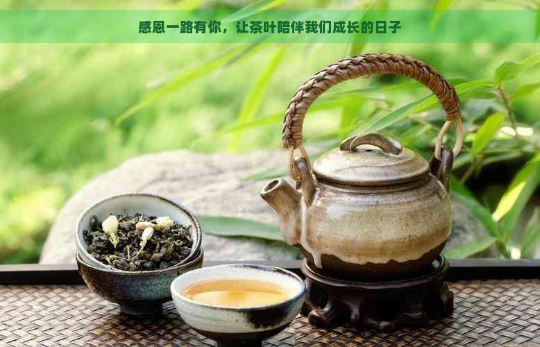 感恩一路有你，让茶叶陪伴我们成长的日子