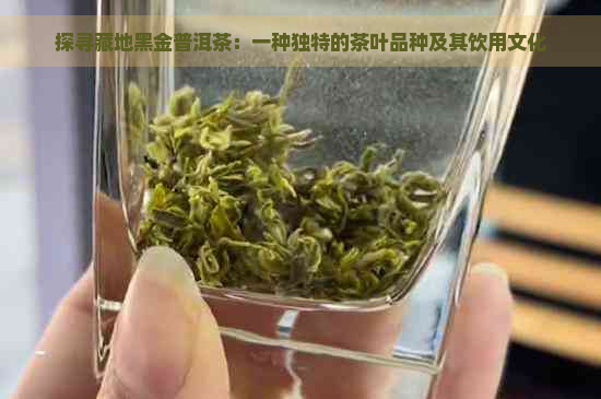 探寻藏地黑金普洱茶：一种独特的茶叶品种及其饮用文化