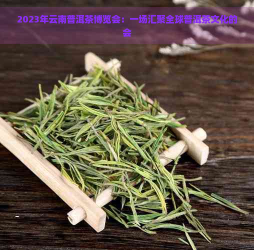 2023年云南普洱茶博览会：一场汇聚全球普洱茶文化的会