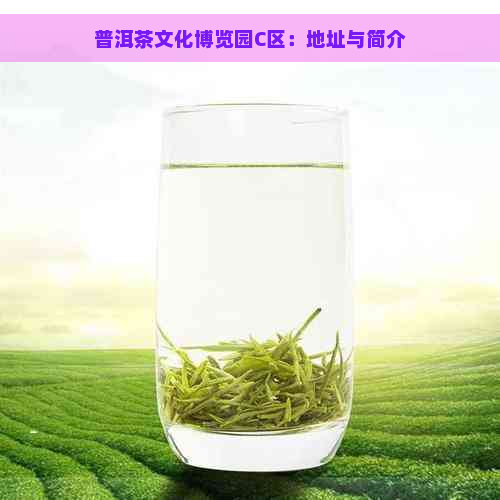 普洱茶文化博览园C区：地址与简介