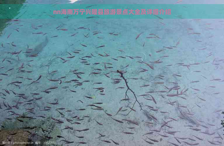 nn海南万宁兴隆县旅游景点大全及详细介绍