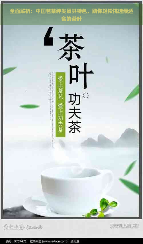 全面解析：中国茗茶种类及其特色，助你轻松挑选最适合的茶叶