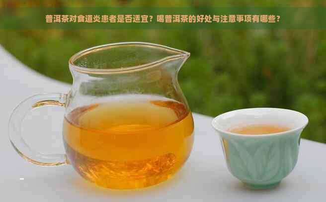 普洱茶对食道炎患者是否适宜？喝普洱茶的好处与注意事项有哪些？