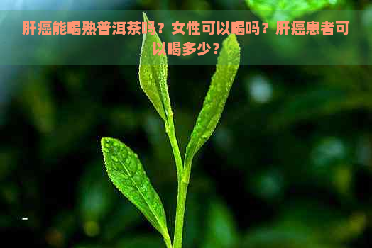 肝癌能喝熟普洱茶吗？女性可以喝吗？肝癌患者可以喝多少？