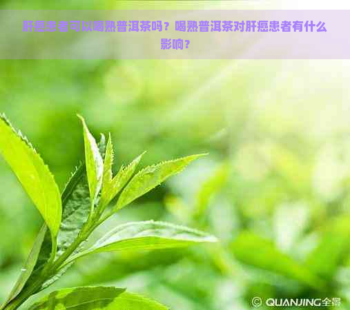 肝癌患者可以喝熟普洱茶吗？喝熟普洱茶对肝癌患者有什么影响？