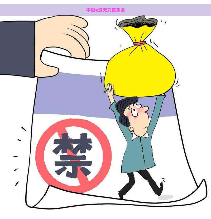 中银e贷无力还本金