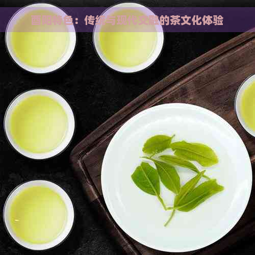 酉阳特色：传统与现代交融的茶文化体验