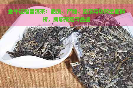 金牛送福普洱茶：品质、产地、泡法与功效全面解析，助您挑选与品鉴