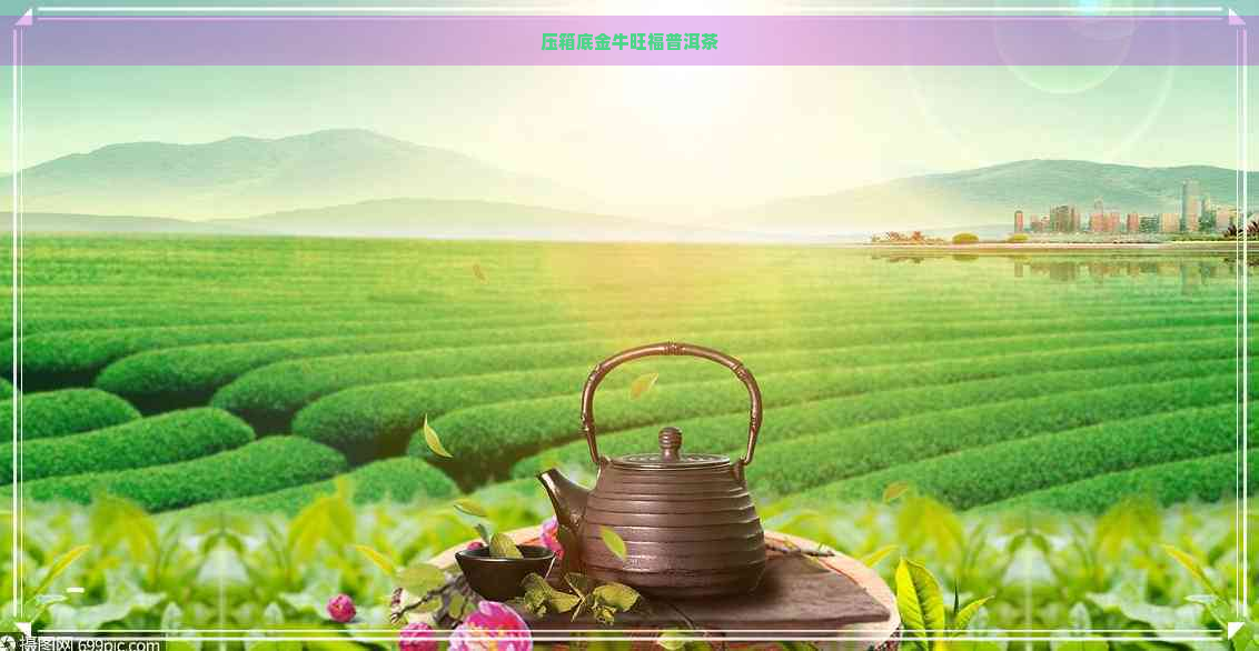 压箱底金牛旺福普洱茶