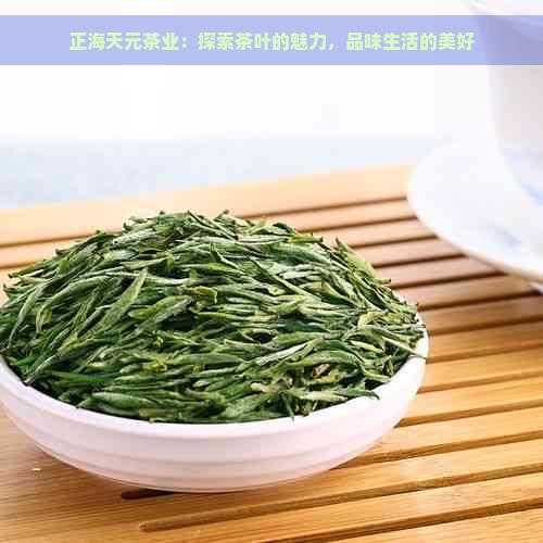 正海天元茶业：探索茶叶的魅力，品味生活的美好