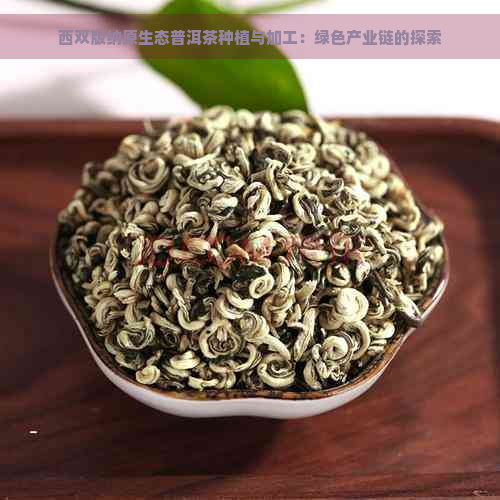 西双版纳原生态普洱茶种植与加工：绿色产业链的探索