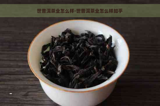 世普洱茶业怎么样-世普洱茶业怎么样知乎