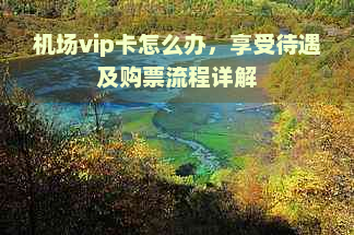 机场vip卡怎么办，享受待遇及购票流程详解