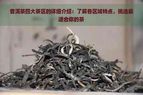 普洱茶四大茶区的详细介绍：了解各区域特点，挑选最适合你的茶