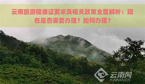 云南旅游健康证要求及相关政策全面解析：现在是否需要办理？如何办理？