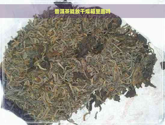 普洱茶能放干燥箱里面吗