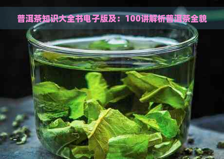 普洱茶知识大全书电子版及：100讲解析普洱茶全貌