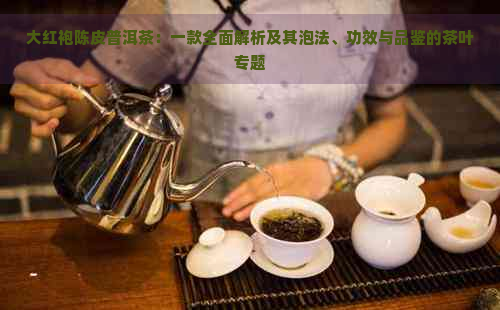 大红袍陈皮普洱茶：一款全面解析及其泡法、功效与品鉴的茶叶专题