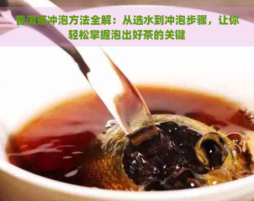 普洱茶冲泡方法全解：从选水到冲泡步骤，让你轻松掌握泡出好茶的关键