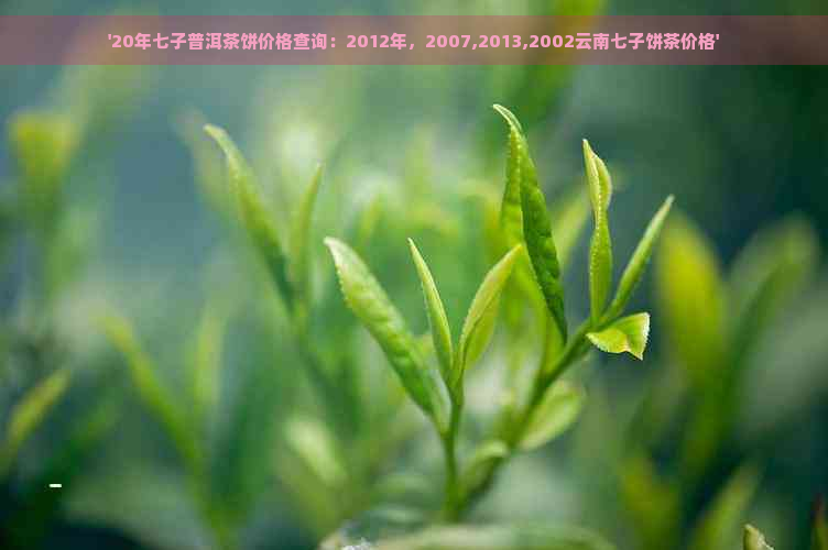 '20年七子普洱茶饼价格查询：2012年，2007,2013,2002云南七子饼茶价格'