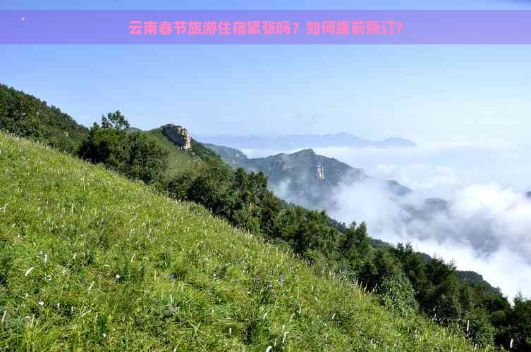 云南春节旅游住宿紧张吗？如何提前预订？