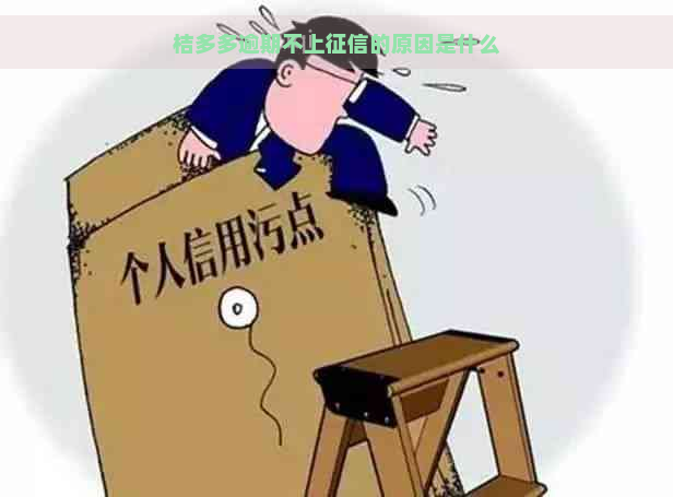 桔多多逾期不上的原因是什么