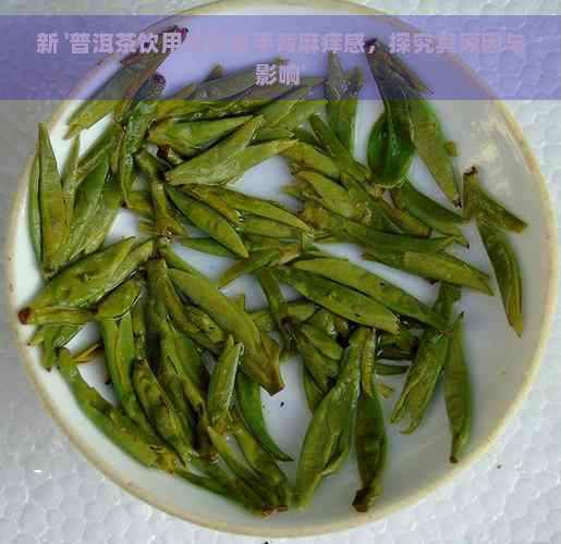 新 '普洱茶饮用后引发手背麻痒感，探究其原因与影响'