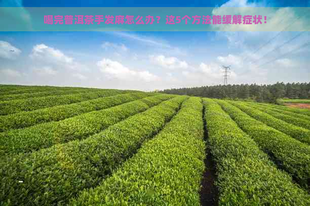 喝完普洱茶手发麻怎么办？这5个方法能缓解症状！