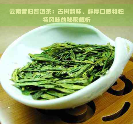 云南昔归普洱茶：古树韵味、醇厚口感和独特风味的秘密解析