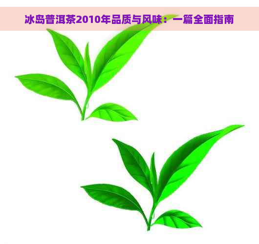 冰岛普洱茶2010年品质与风味：一篇全面指南