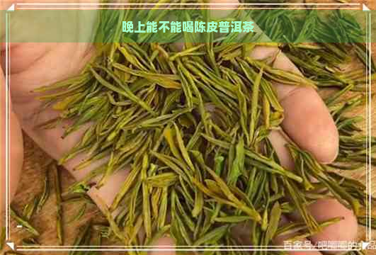 晚上能不能喝陈皮普洱茶