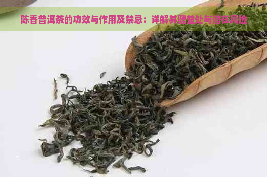 陈香普洱茶的功效与作用及禁忌：详解其健益处与潜在风险