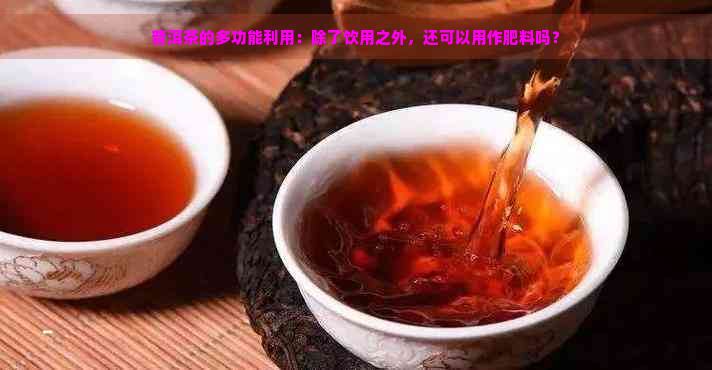 普洱茶的多功能利用：除了饮用之外，还可以用作肥料吗？