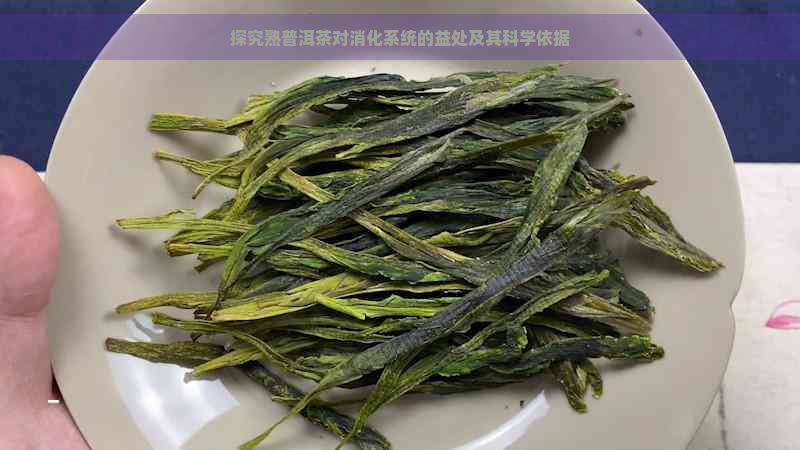 探究熟普洱茶对消化系统的益处及其科学依据