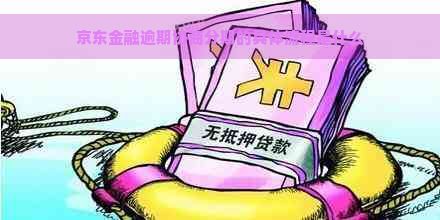 京东金融逾期协商分期的具体流程是什么