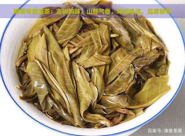 瑞荣号普洱茶：古树韵味，山野气香，年份精选，品茗新享